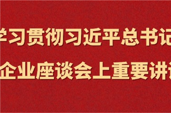 6008集团官方网站集团集中学习习近平总书记在民营企业座谈会上重要讲话精神